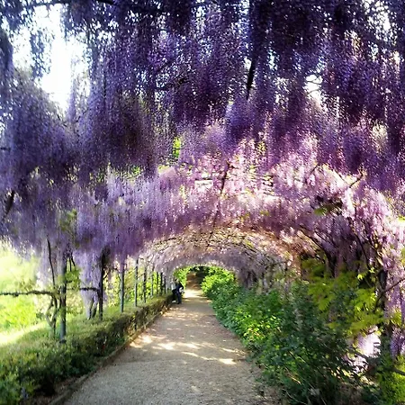 Frühstückspension Monte Oliveto Florenz