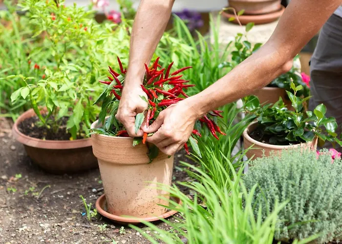 Monte Oliveto フィレンツェ