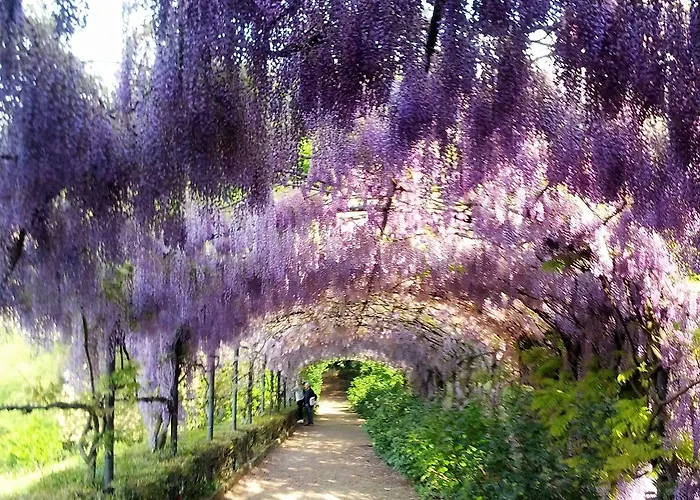 ベッド・アンド・ブレックファスト Monte Oliveto フィレンツェ