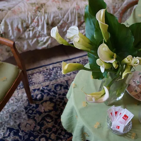 Monte Oliveto Bed and breakfast Florencia
