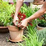 Monte Oliveto Флоренция
